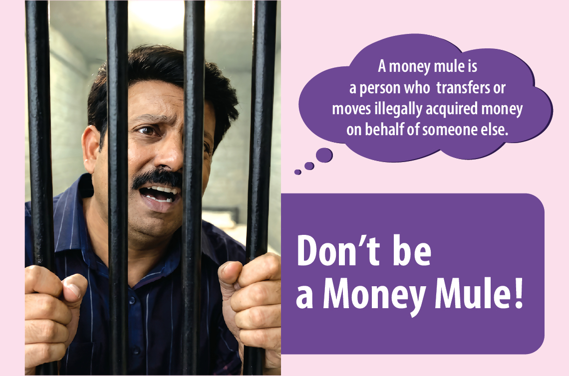 Dont be a money mule banner